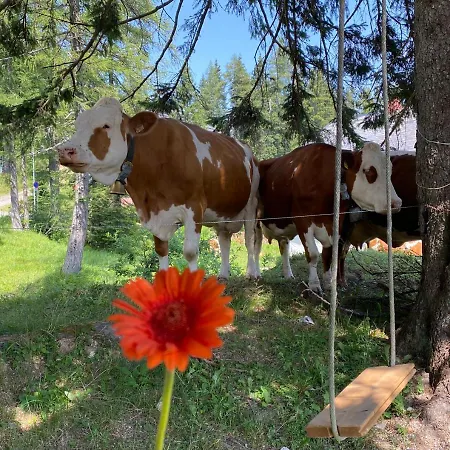 Gemuetliche Berghuette In Den Alpen Sonnenalpe Nassfeld