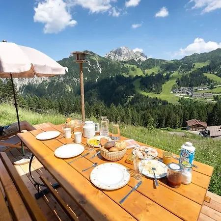 샬레 Gemuetliche Skihuette An Der Piste Ski-in & Ski-out *