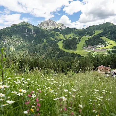 Gemuetliche Huette In Den Bergen *