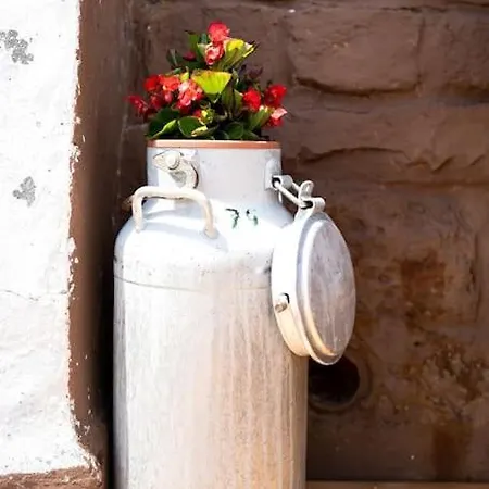 샬레 Gemuetliche Skihuette An Der Piste Ski-in & Ski-out 조넨알페 나스펠트