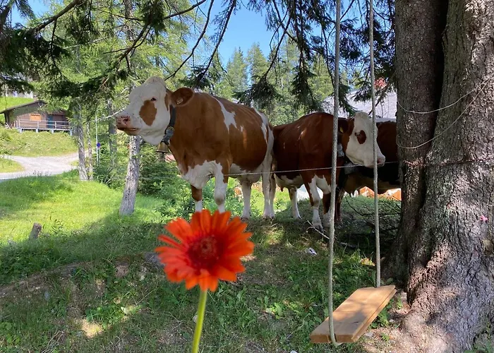 Gemuetliche Berghuette In Den Alpen Sonnenalpe Nassfeld