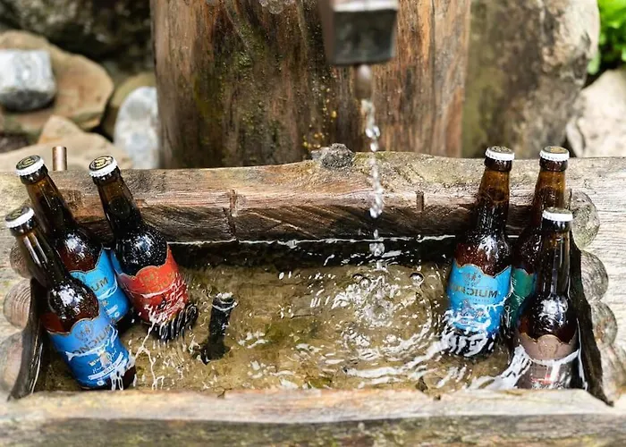 Gemuetliche Berghuette In Den Alpen * Sonnenalpe Nassfeld